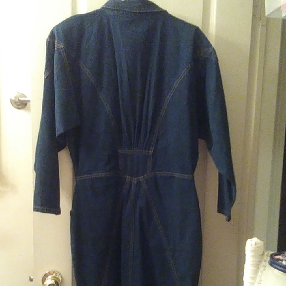Denim Button-Up Dress - Picture 4 of 9